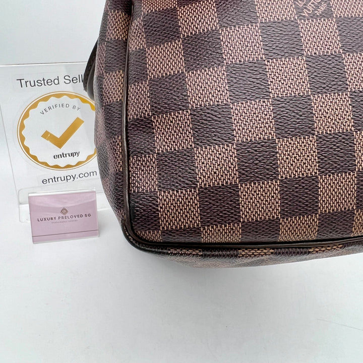 LOUIS VUITTON SPEEDY 30 DAMIER