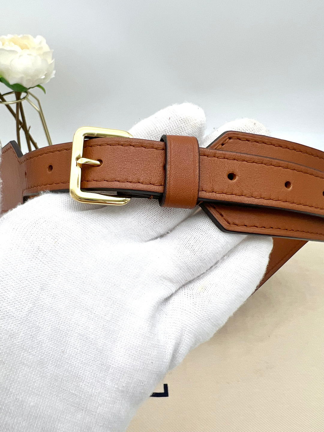 LOUIS VUITTON DAUPHINE REVERSED BELT BAG