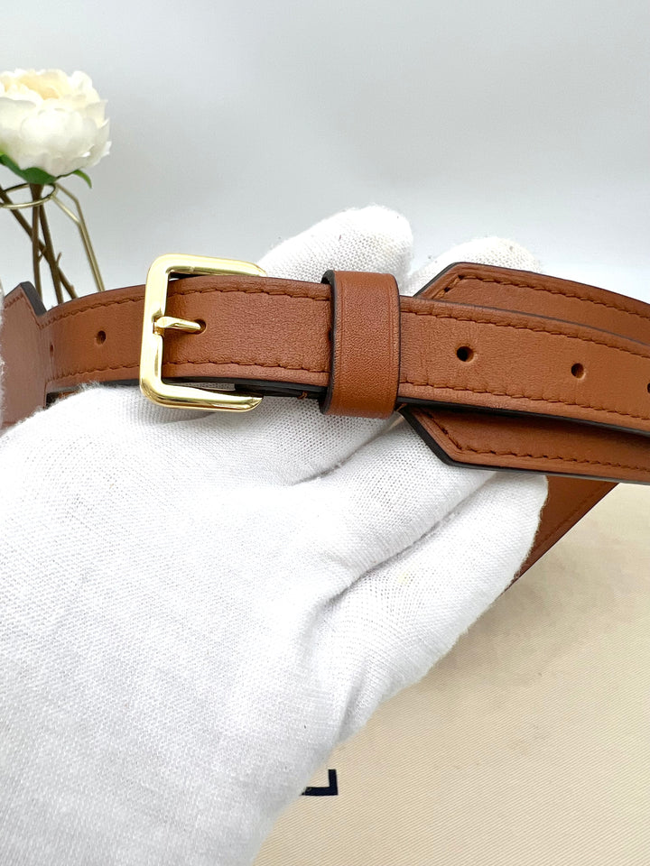 LOUIS VUITTON DAUPHINE REVERSED BELT BAG