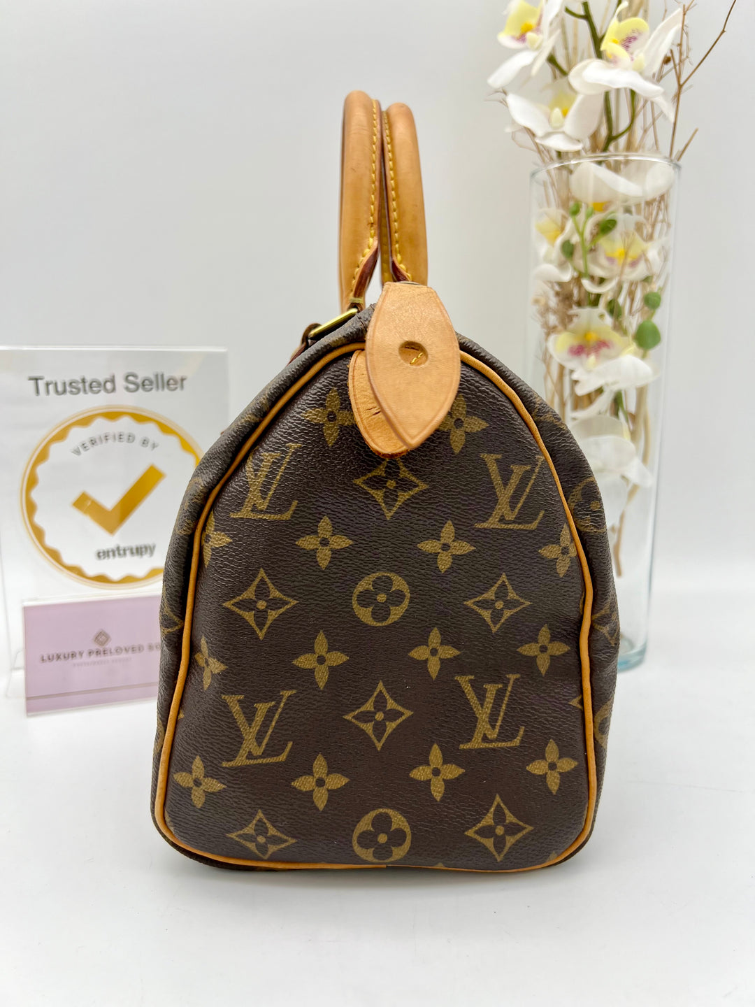 LOUIS VUITTON SPEEDY 25 MONOGRAM