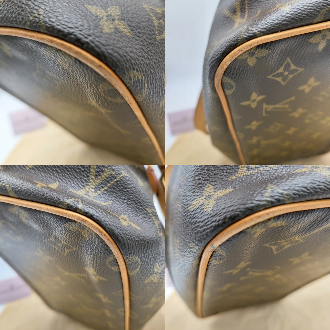 LOUIS VUITTON MONOGRAM PALERMO PM