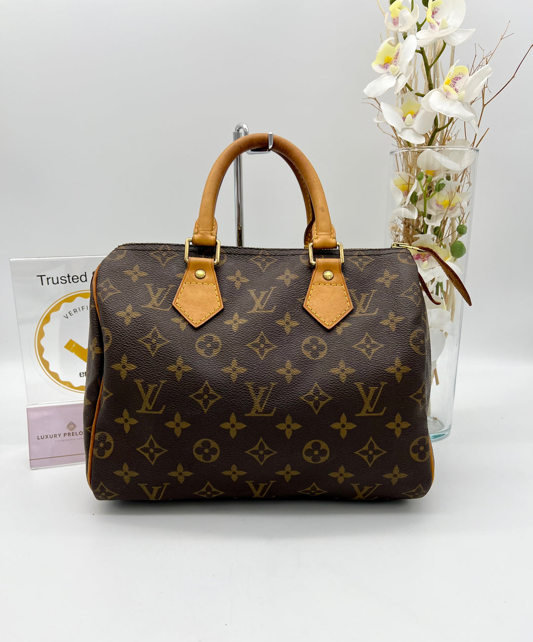 LOUIS VUITTON SPEEDY 25 MONOGRAM