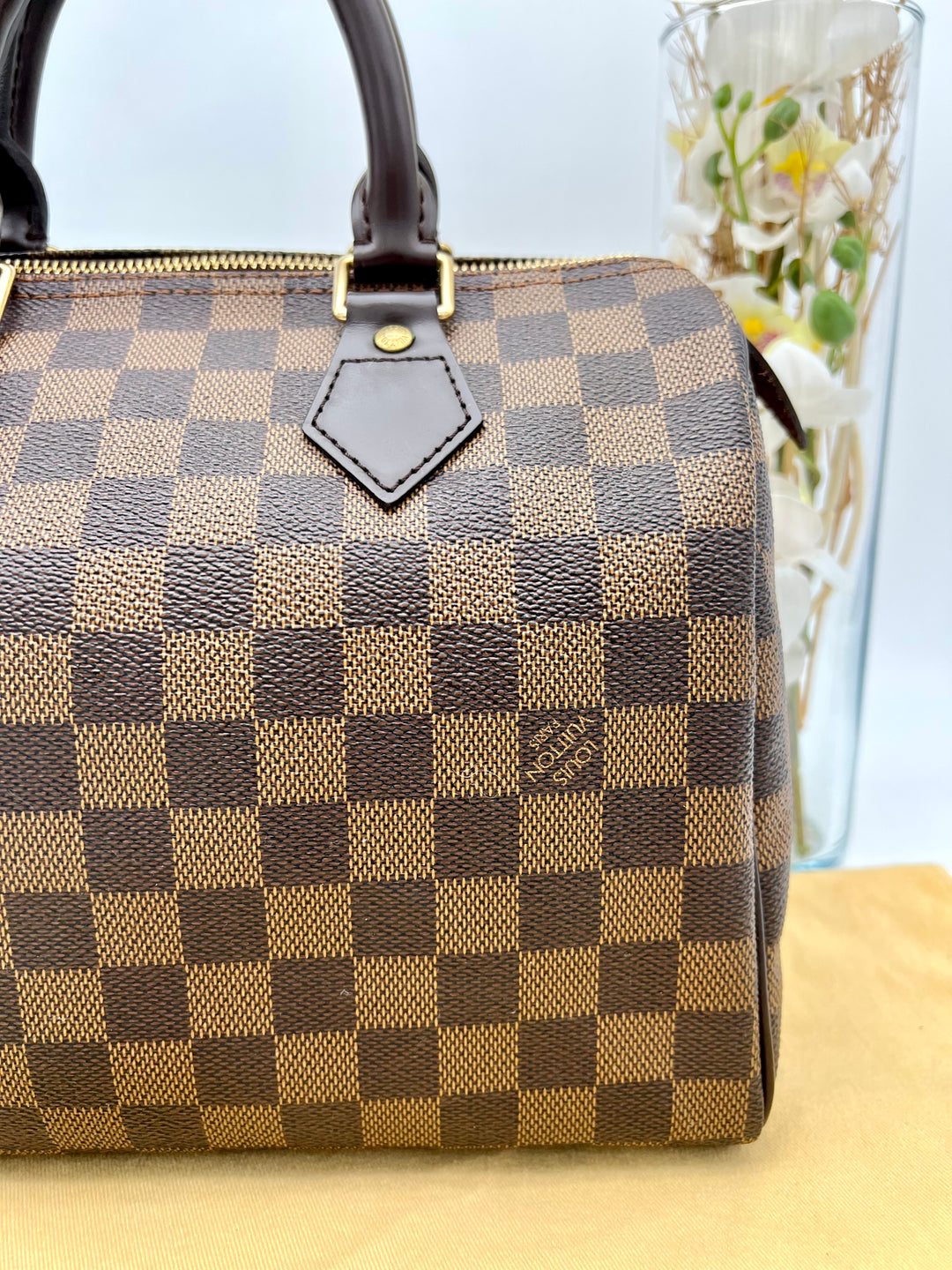 LOUIS VUITTON SPEEDY 25 DAMIER