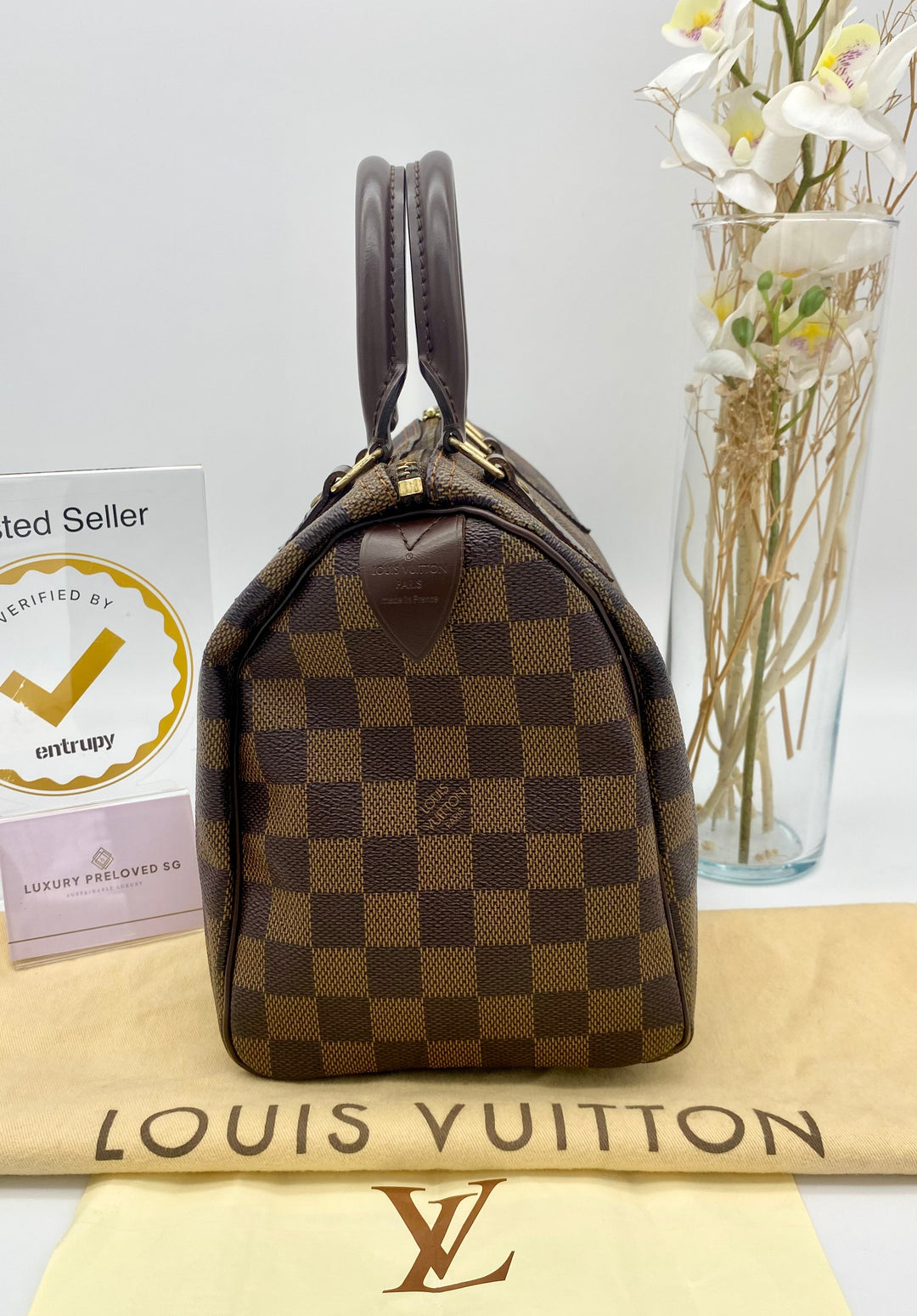 LOUIS VUITTON SPEEDY 25 DAMIER EBENE