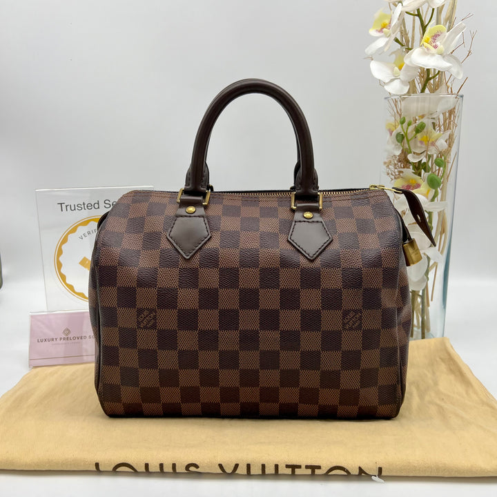 LOUIS VUITTON SPEEDY 25 DAMIER