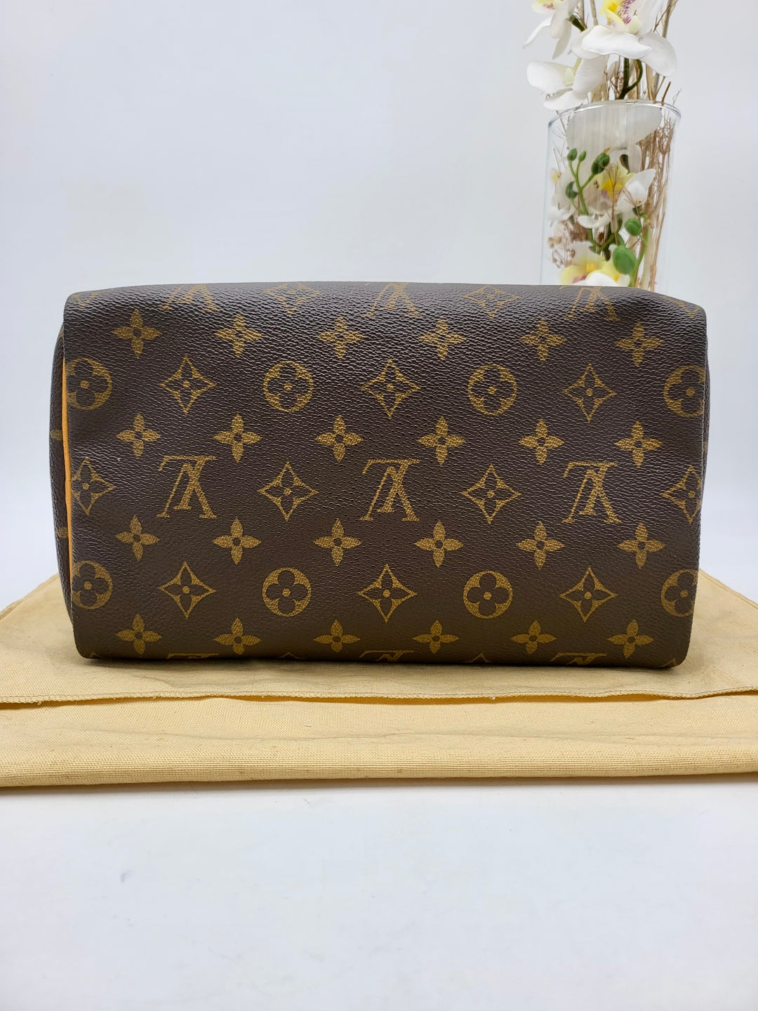 LOUIS VUITTON SPEEDY 25 MONOGRAM