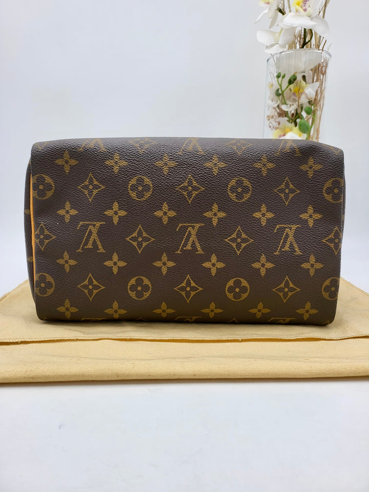 LOUIS VUITTON SPEEDY 25 MONOGRAM