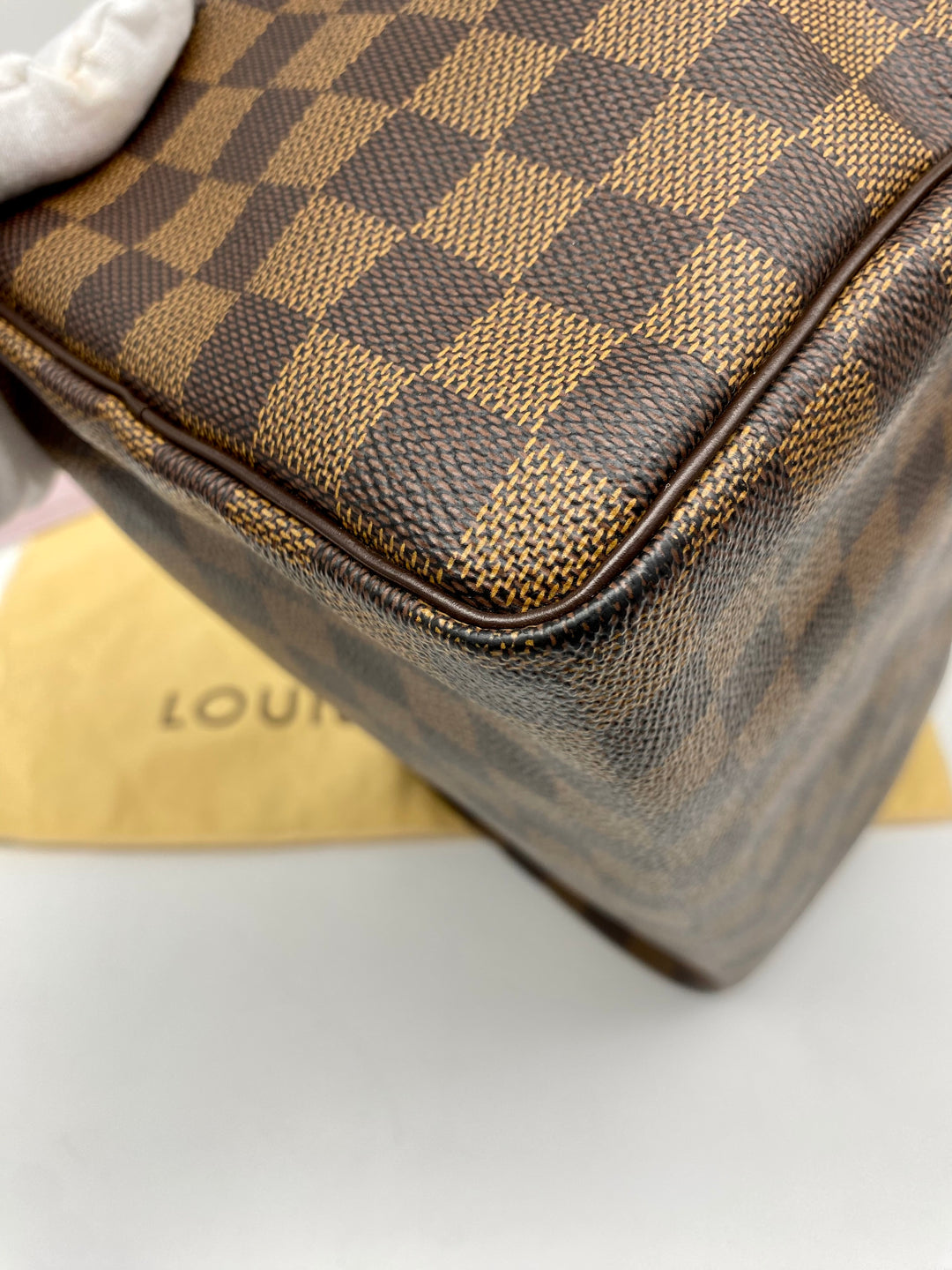 LOUIS VUITTON SPEEDY 25 DAMIER