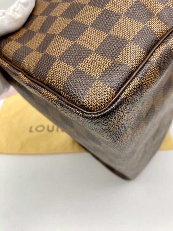 LOUIS VUITTON SPEEDY 25 DAMIER