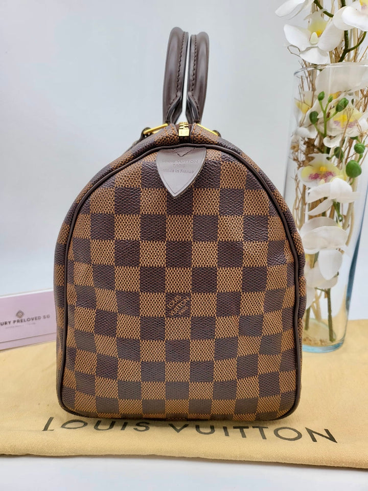 LOUIS VUITTON SPEEDY 30 DAMIER
