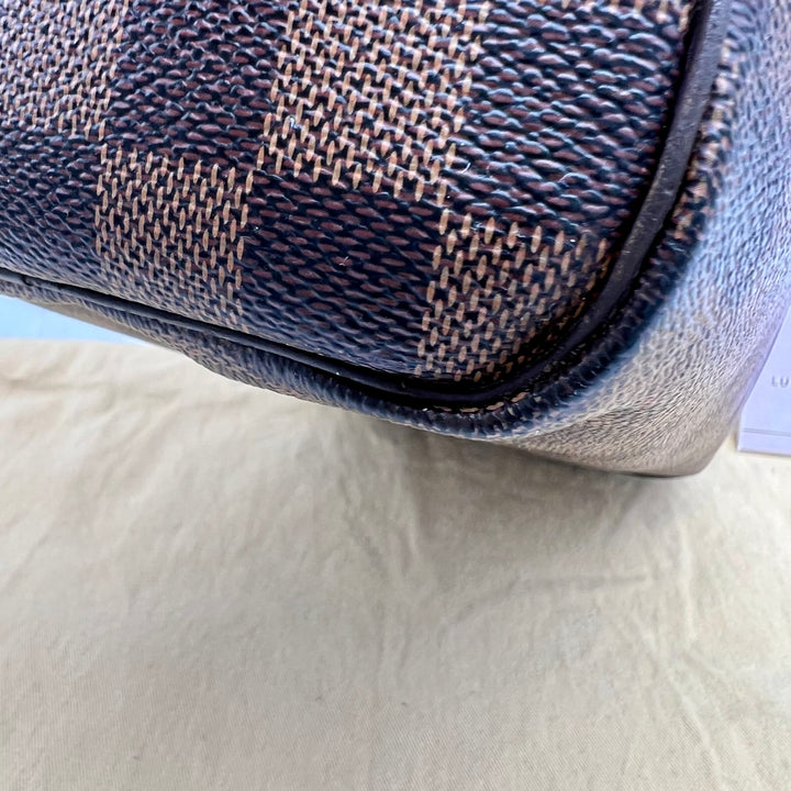 LOUIS VUITTON SPEEDY 25 DAMIER