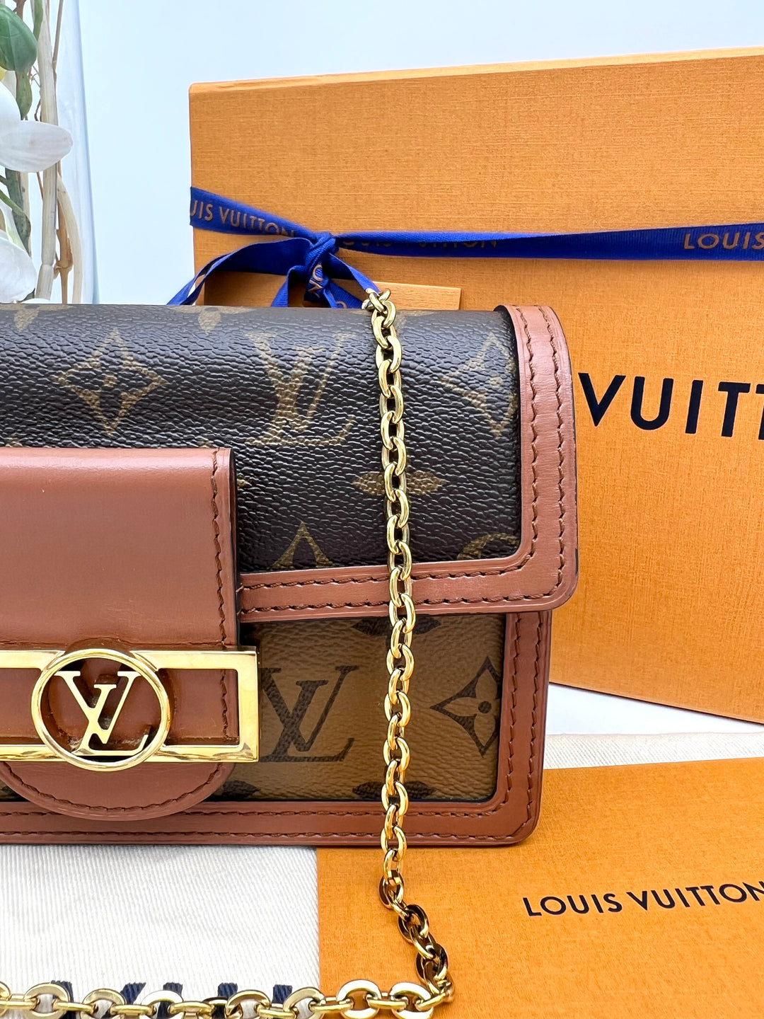 LOUIS VUITTON DAUPHINE WALLET ON CHAIN (RFID)