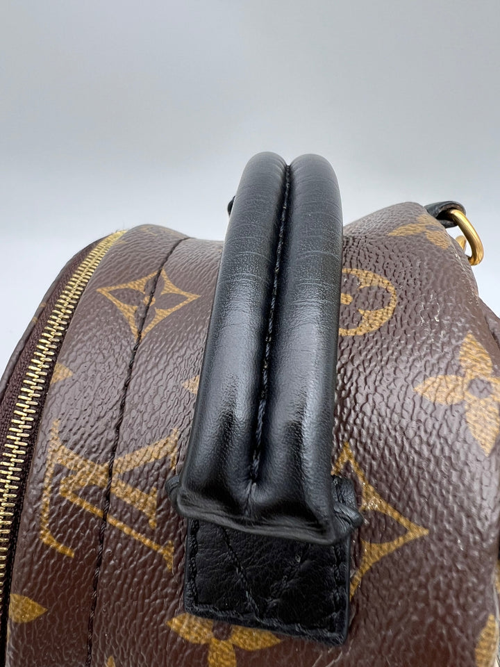 LOUIS VUITTON PALM SPRING MINI MONOGRAM