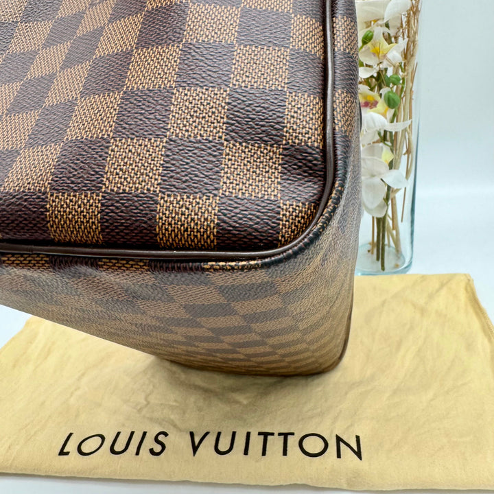 LOUIS VUITTON SPEEDY 30 DAMIER