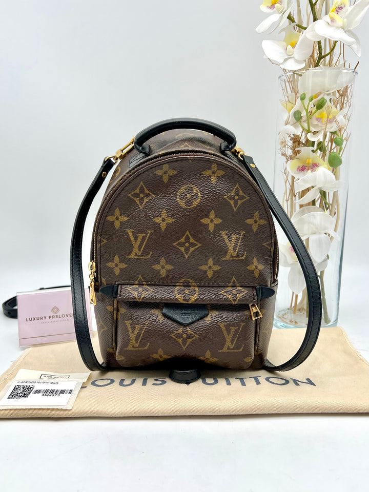 LOUIS VUITTON PALM SPRING MINI MONOGRAM