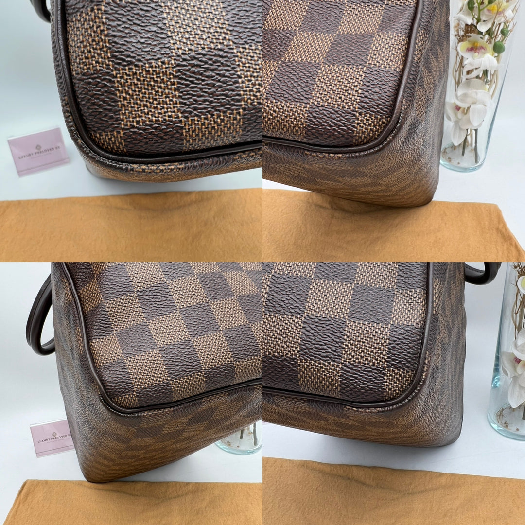LOUIS VUITTON SPEEDY 30 DAMIER