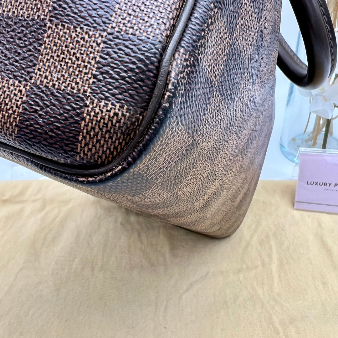 LOUIS VUITTON SPEEDY 25 DAMIER