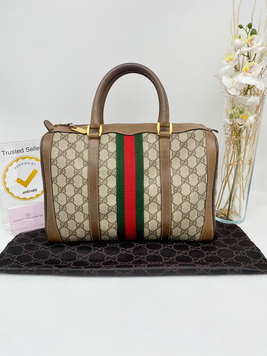 GUCCI VINTAGE OPHIDIA BOSTON