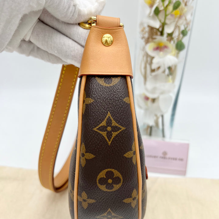 LOUIS VUITTON LOOP BAG (RFID)