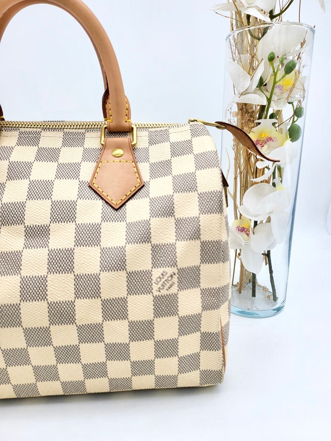LOUIS VUITTON SPEEDY 25 AZUR