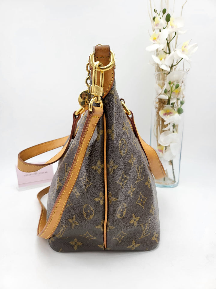 LOUIS VUITTON MONOGRAM PALERMO PM