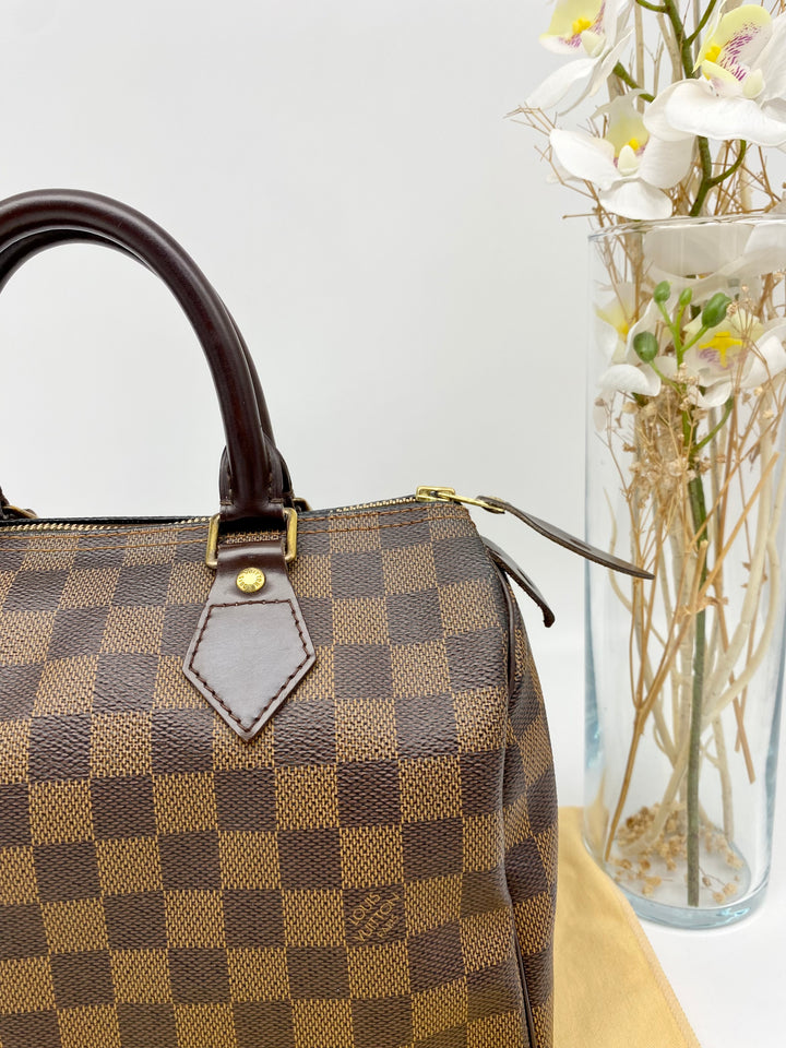 LOUIS VUITTON SPEEDY 25 DAMIER