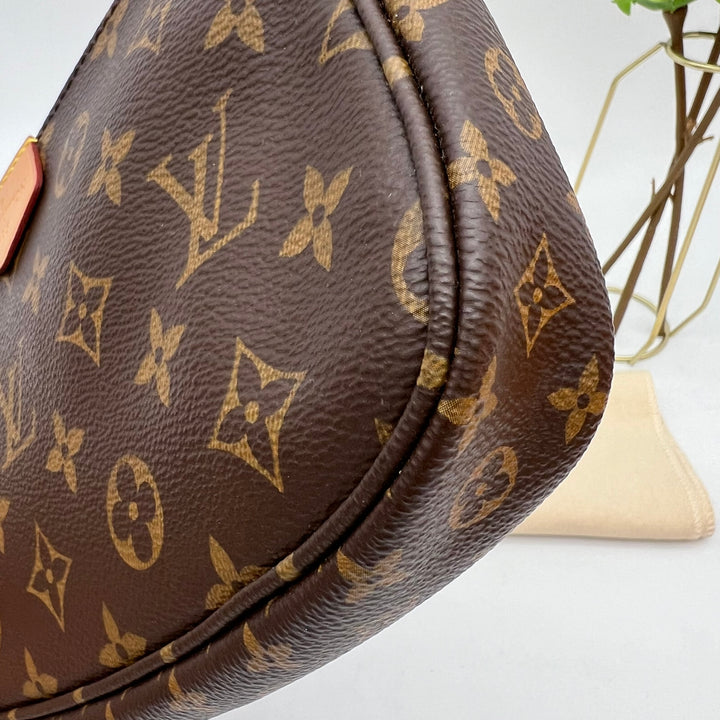 LOUIS VUITTON MULTI POCHETTE