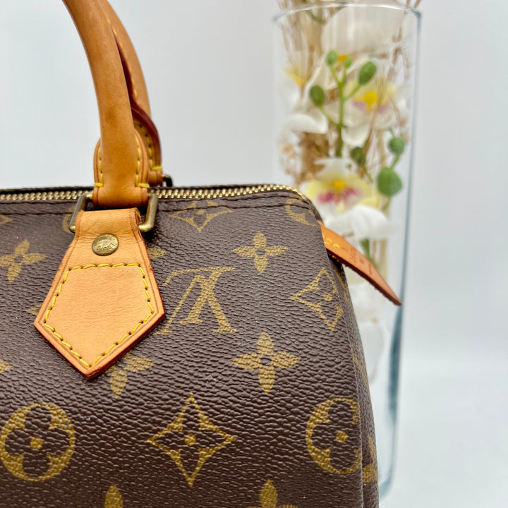 LOUIS VUITTON SPEEDY 25 MONOGRAM