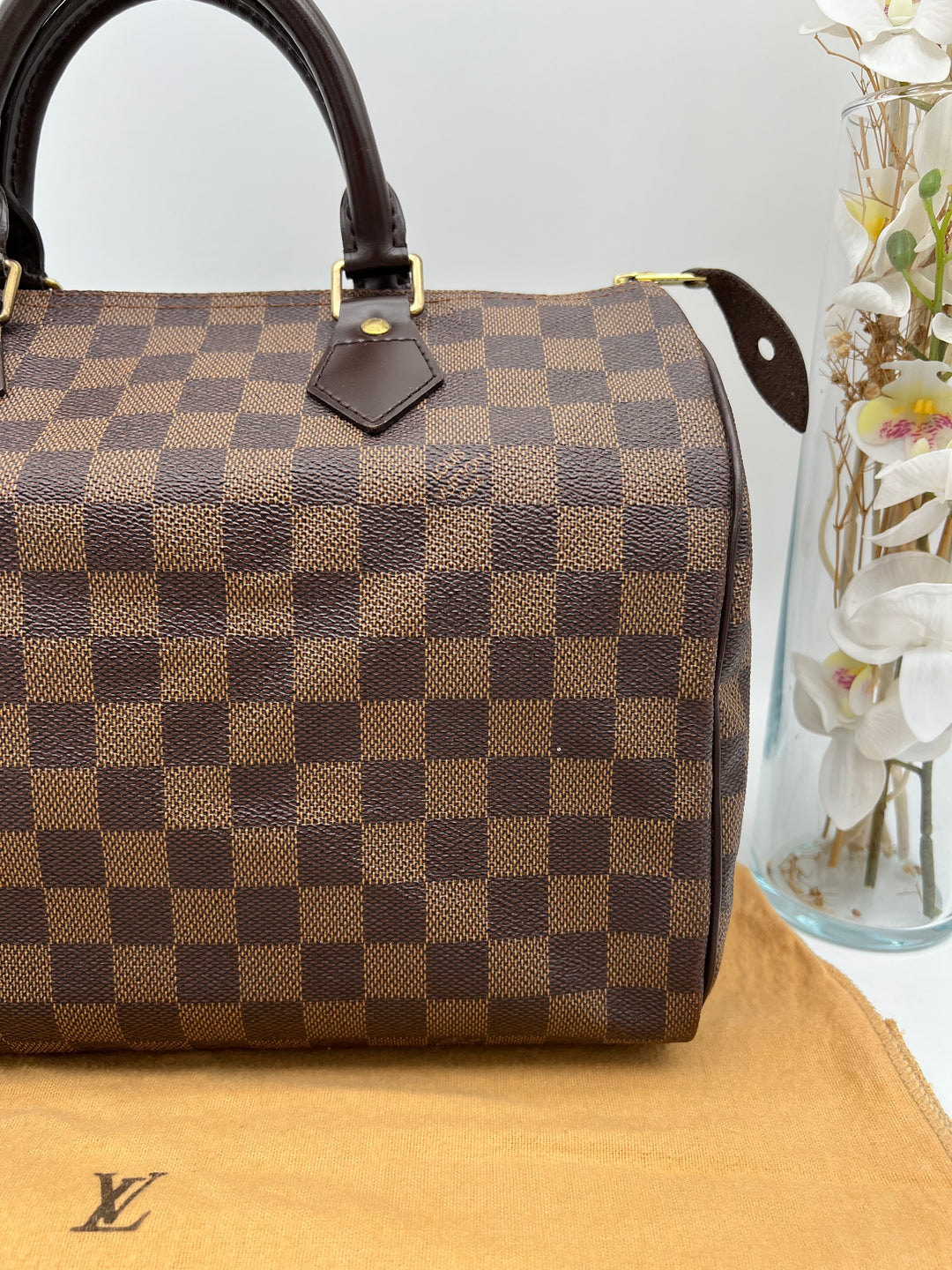 LOUIS VUITTON SPEEDY 30 DAMIER