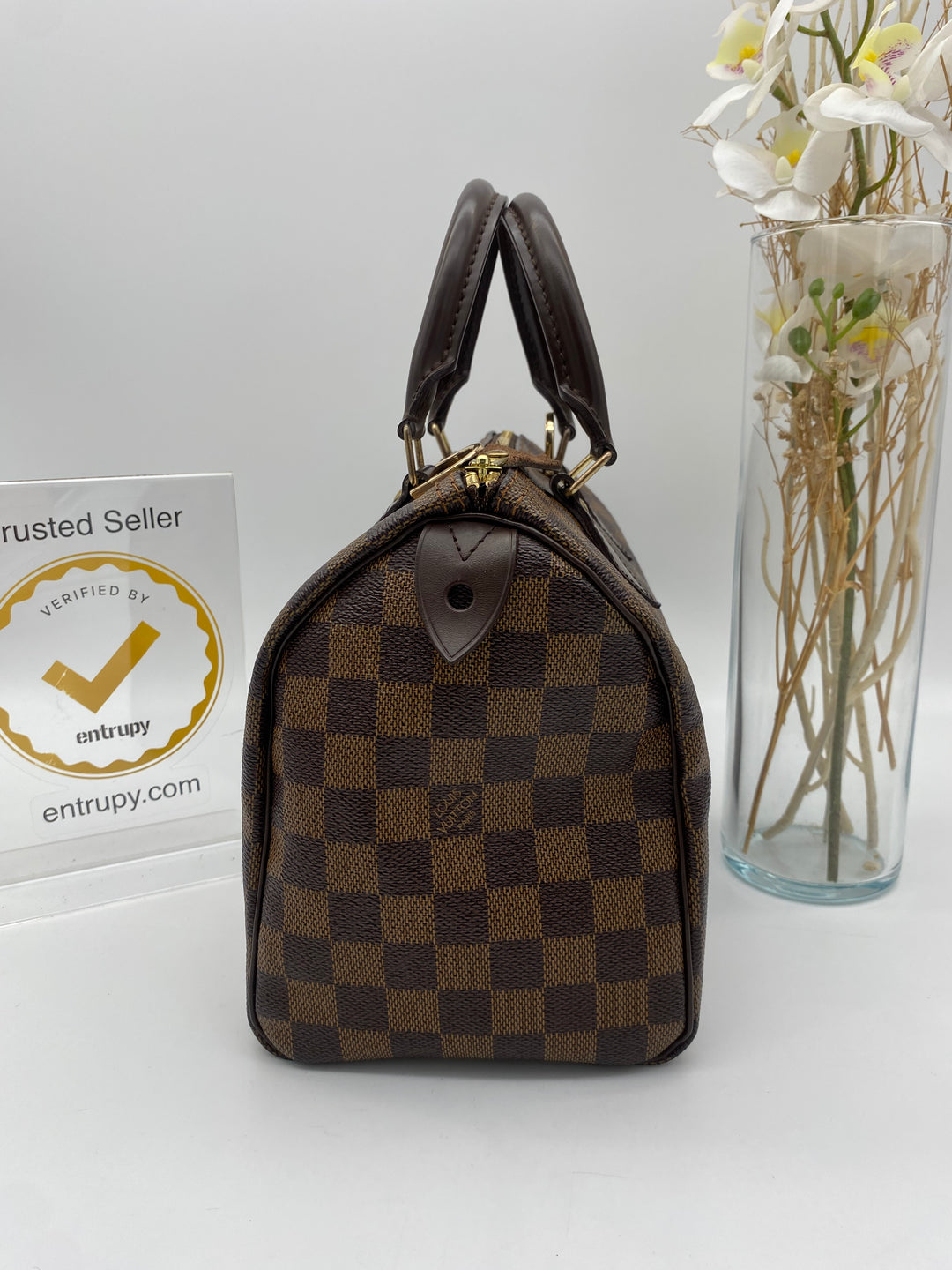 LOUIS VUITTON SPEEDY 25 DAMIER