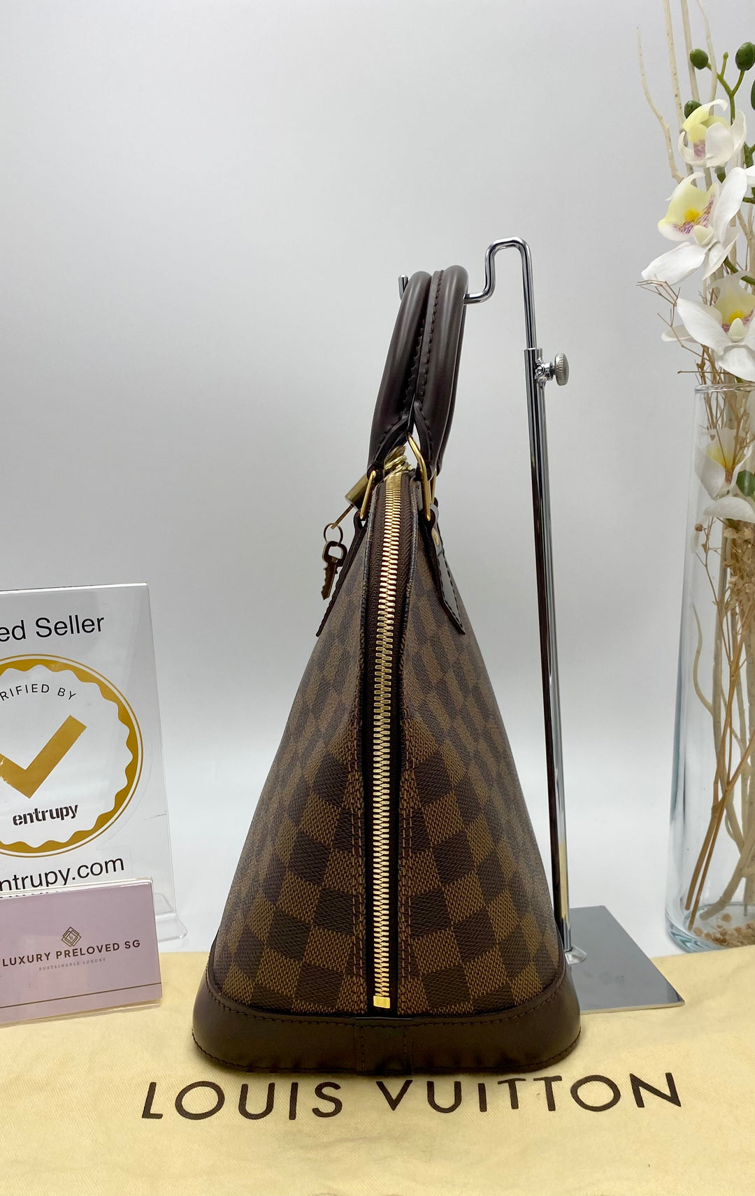 LOUIS VUITTON ALMA PM DAMIER EBENE