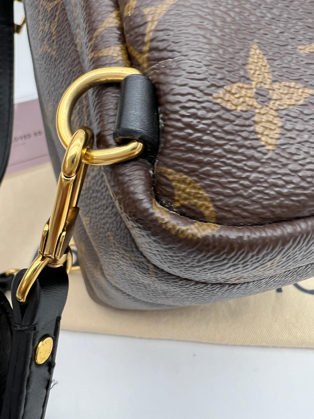 LOUIS VUITTON PALM SPRING MINI MONOGRAM