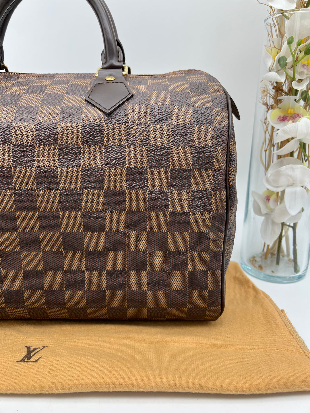 LOUIS VUITTON SPEEDY 30 DAMIER