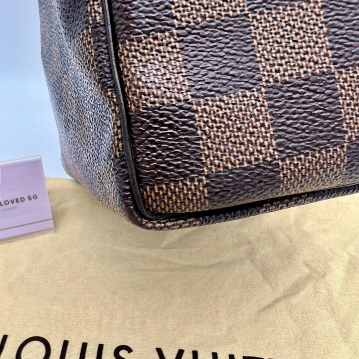 LOUIS VUITTON SPEEDY 25 DAMIER