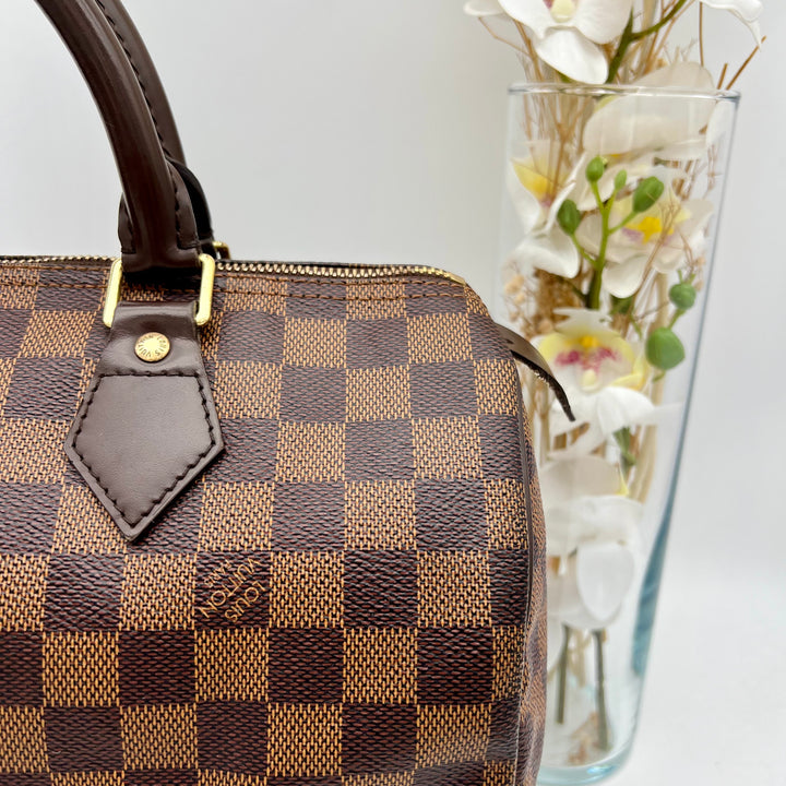 LOUIS VUITTON SPEEDY 30 DAMIER