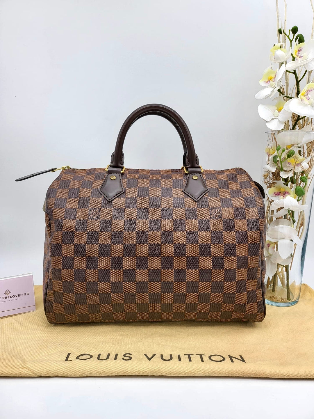 LOUIS VUITTON SPEEDY 30 DAMIER