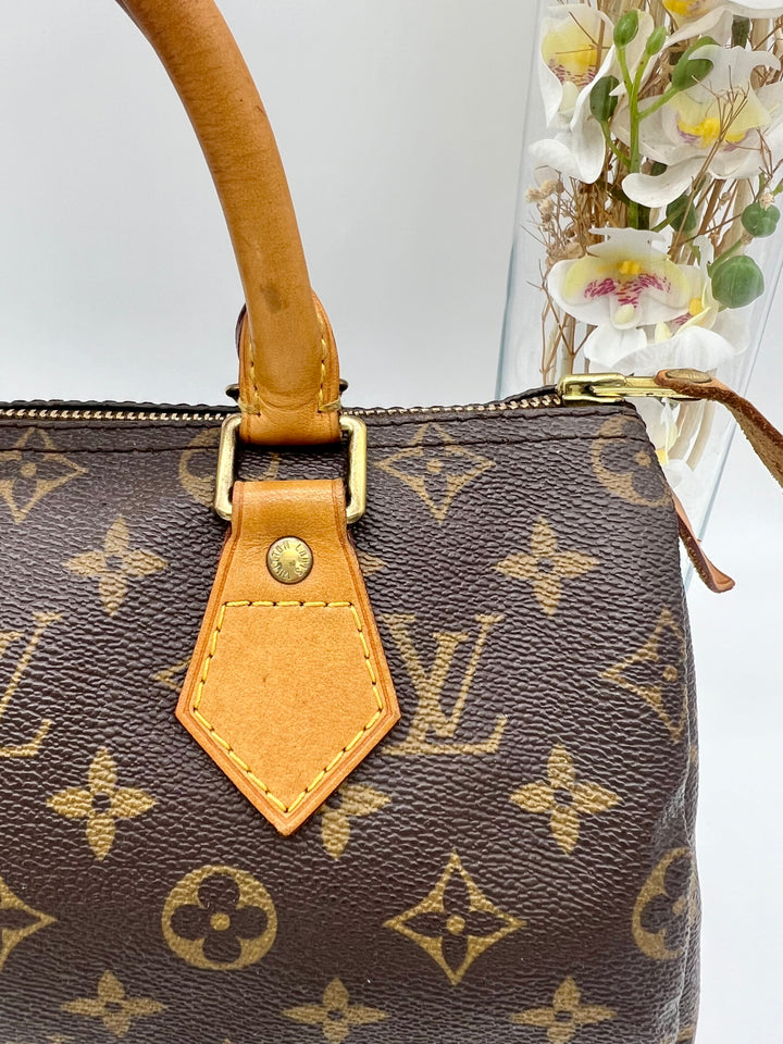 LOUIS VUITTON SPEEDY 25 MONOGRAM