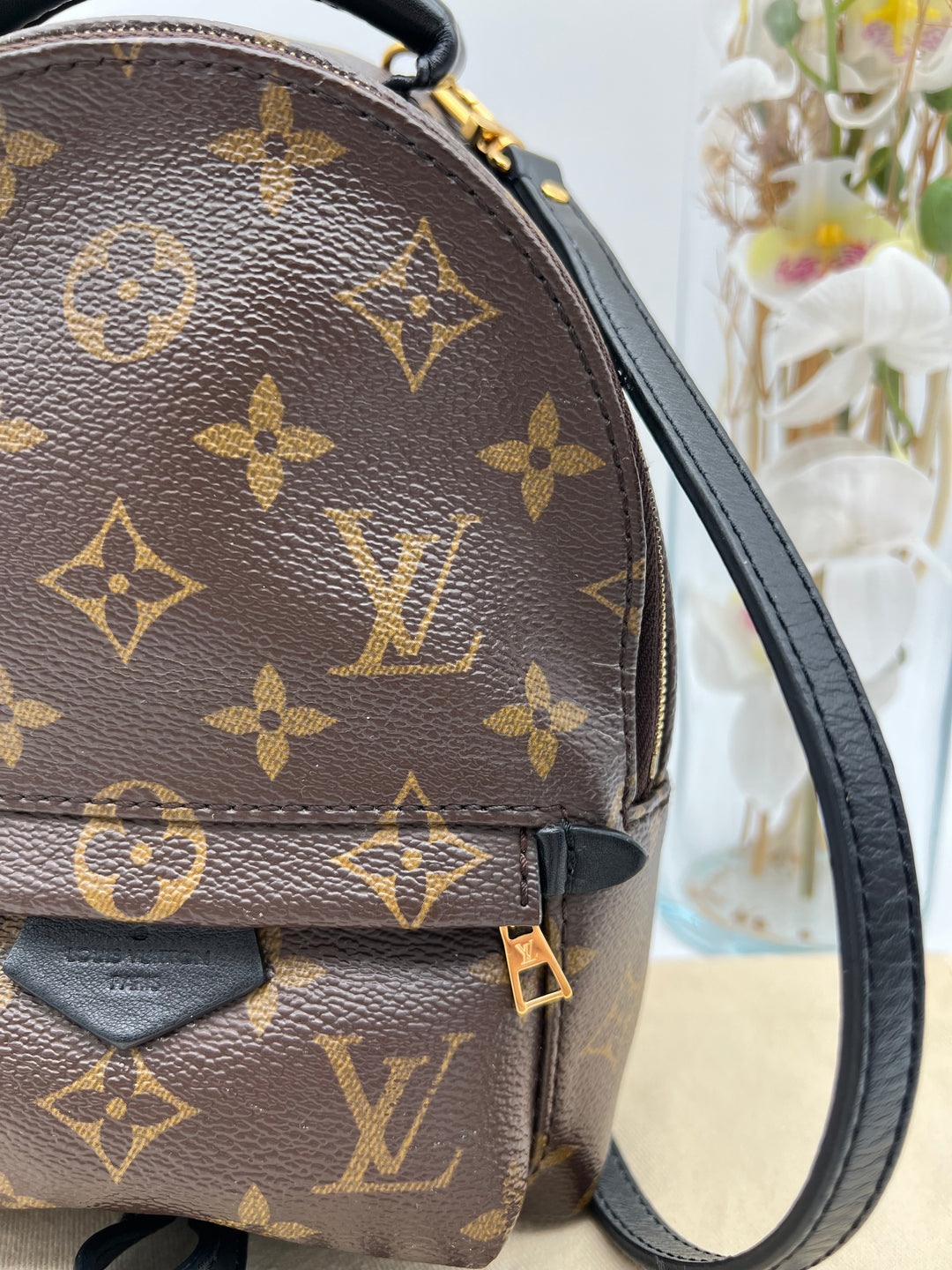 LOUIS VUITTON PALM SPRING MINI MONOGRAM