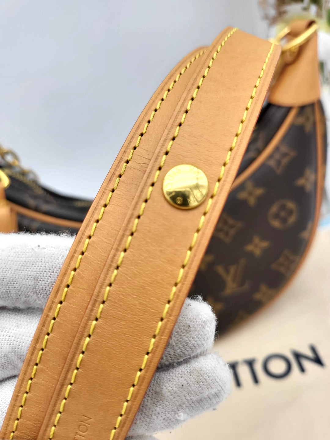 LOUIS VUITTON LOOP BAG
