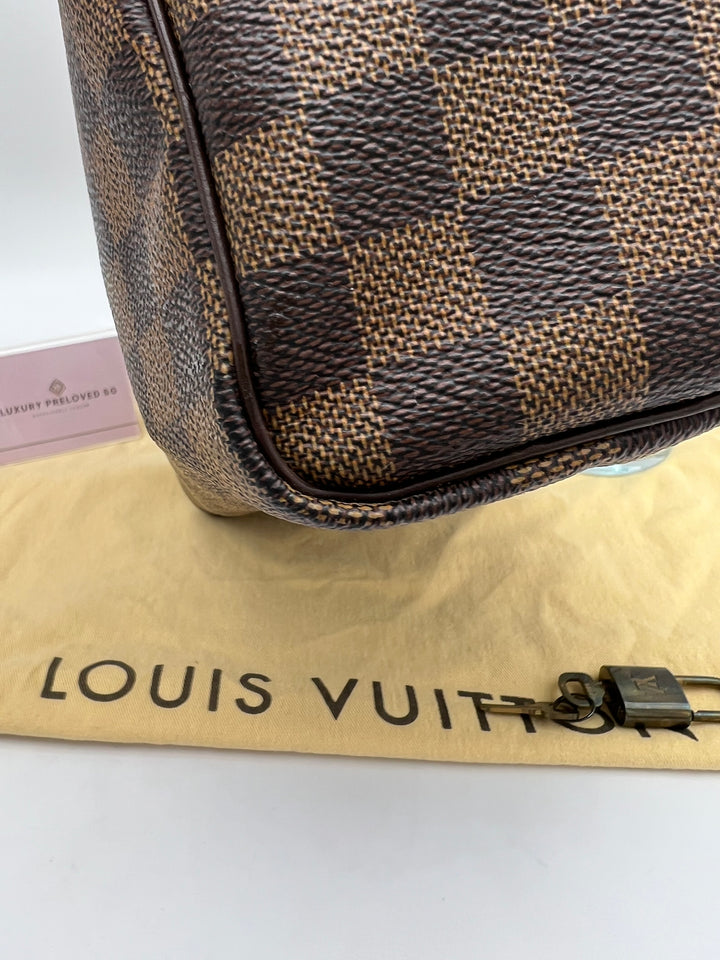 LOUIS VUITTON SPEEDY 25 DAMIER