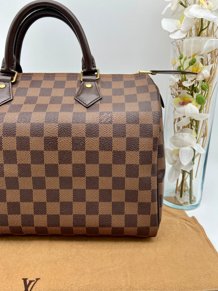 LOUIS VUITTON SPEEDY 30 DAMIER