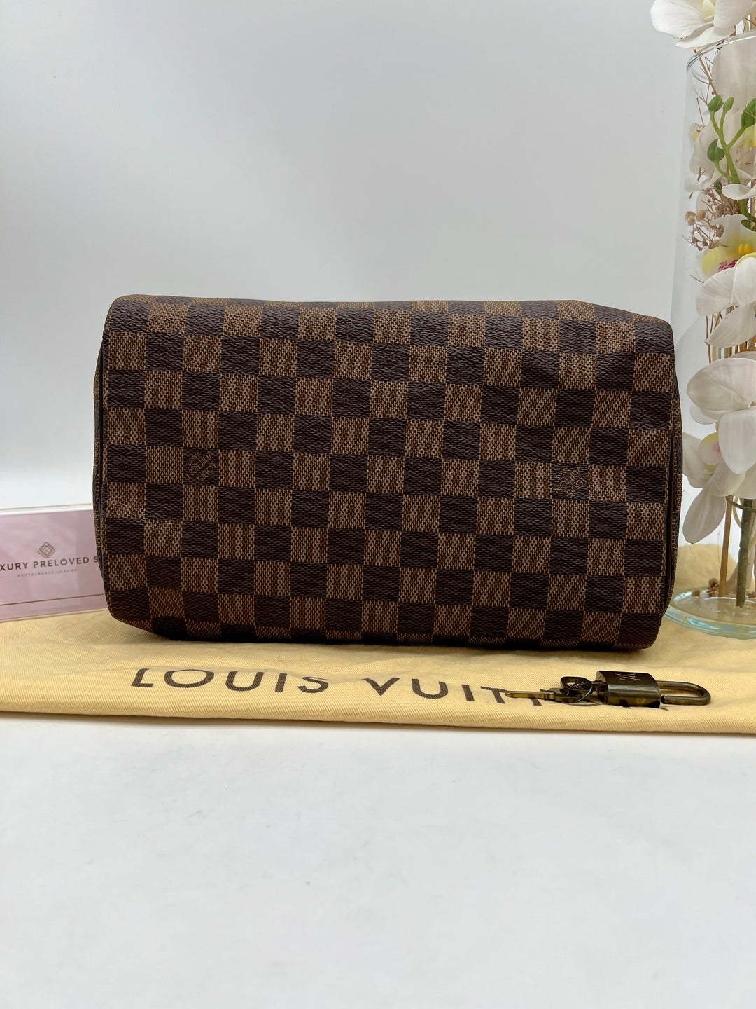 LOUIS VUITTON SPEEDY 25 DAMIER