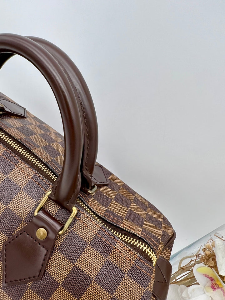LOUIS VUITTON SPEEDY 30 DAMIER