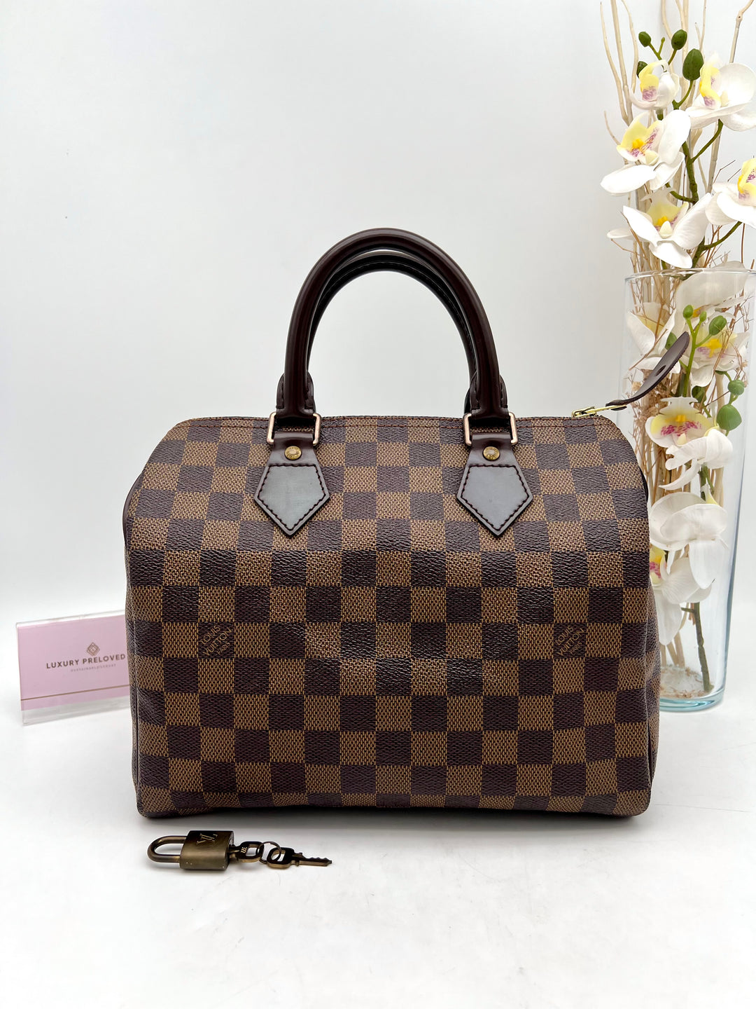 LOUIS VUITTON SPEEDY 25 DAMIER