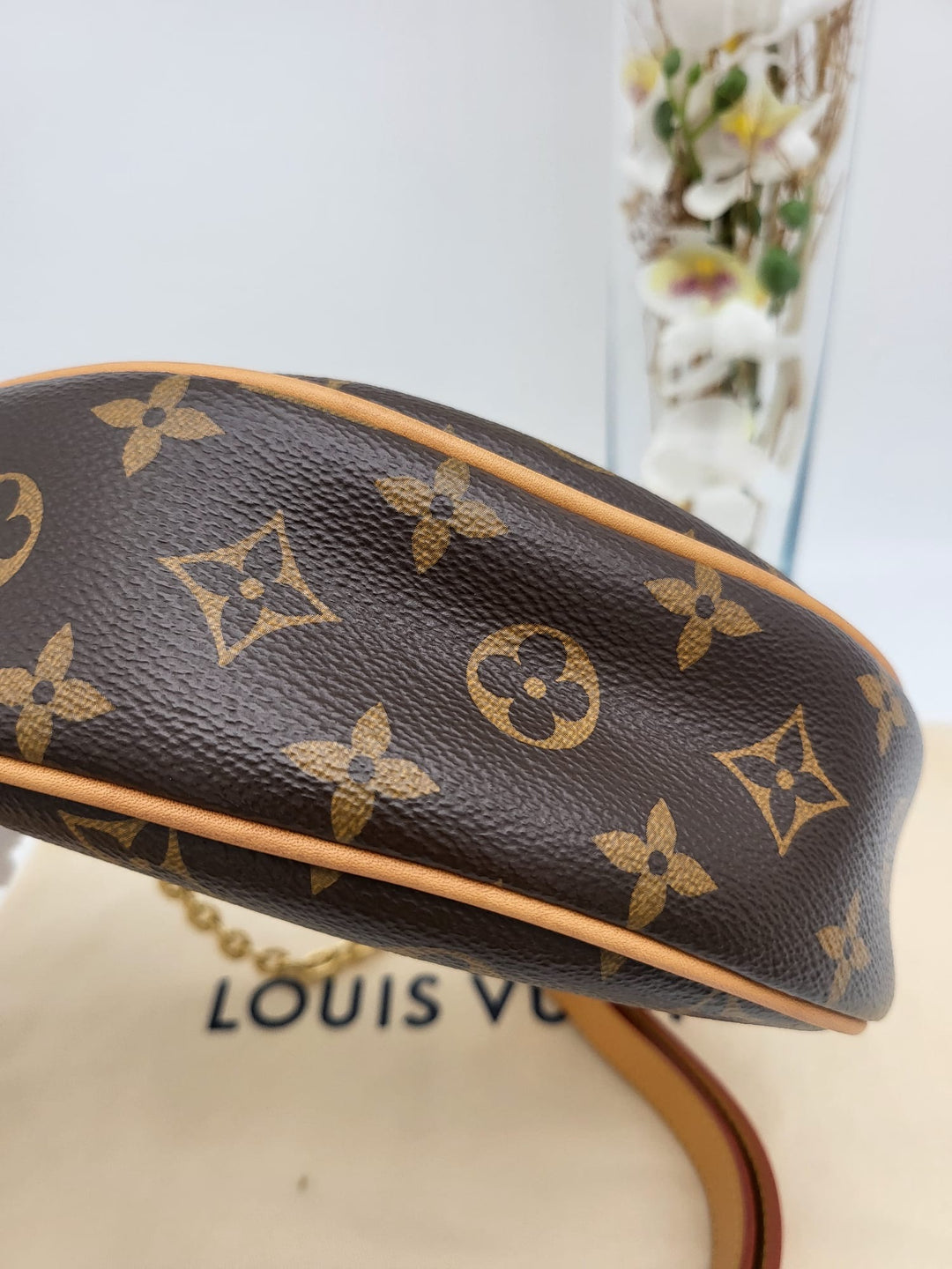 LOUIS VUITTON LOOP BAG