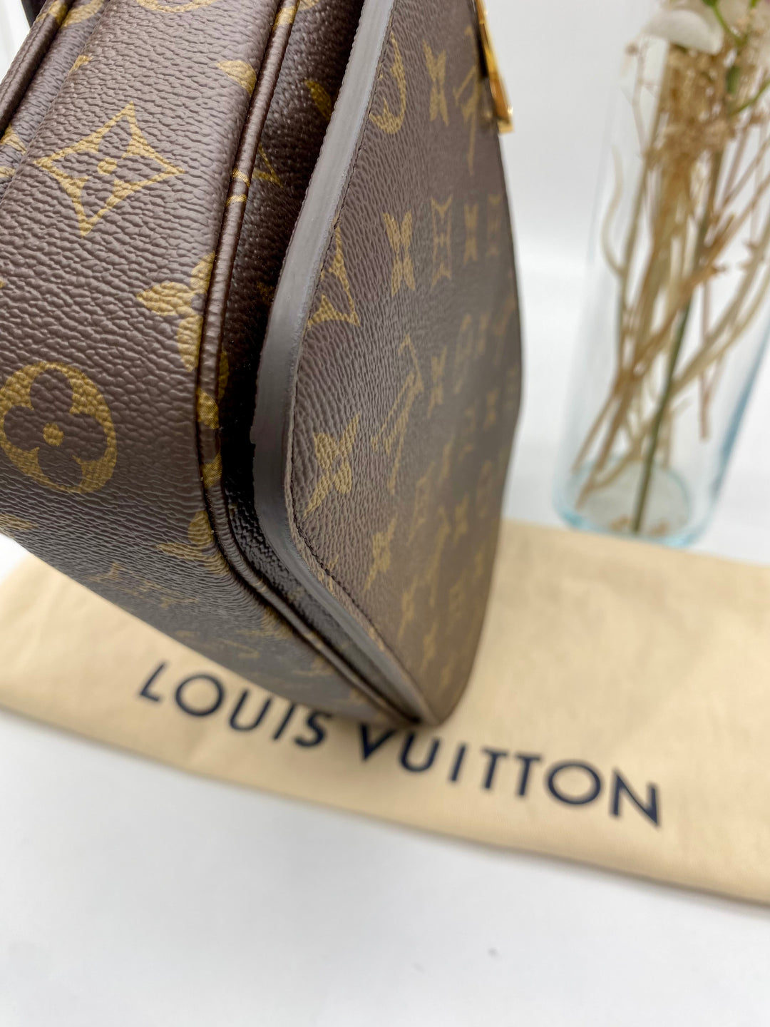 LOUIS VUITTON POCHETTE METIS MONOGRAM