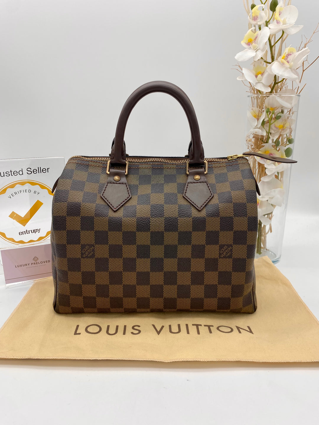 LOUIS VUITTON SPEEDY 25 DAMIER EBENE