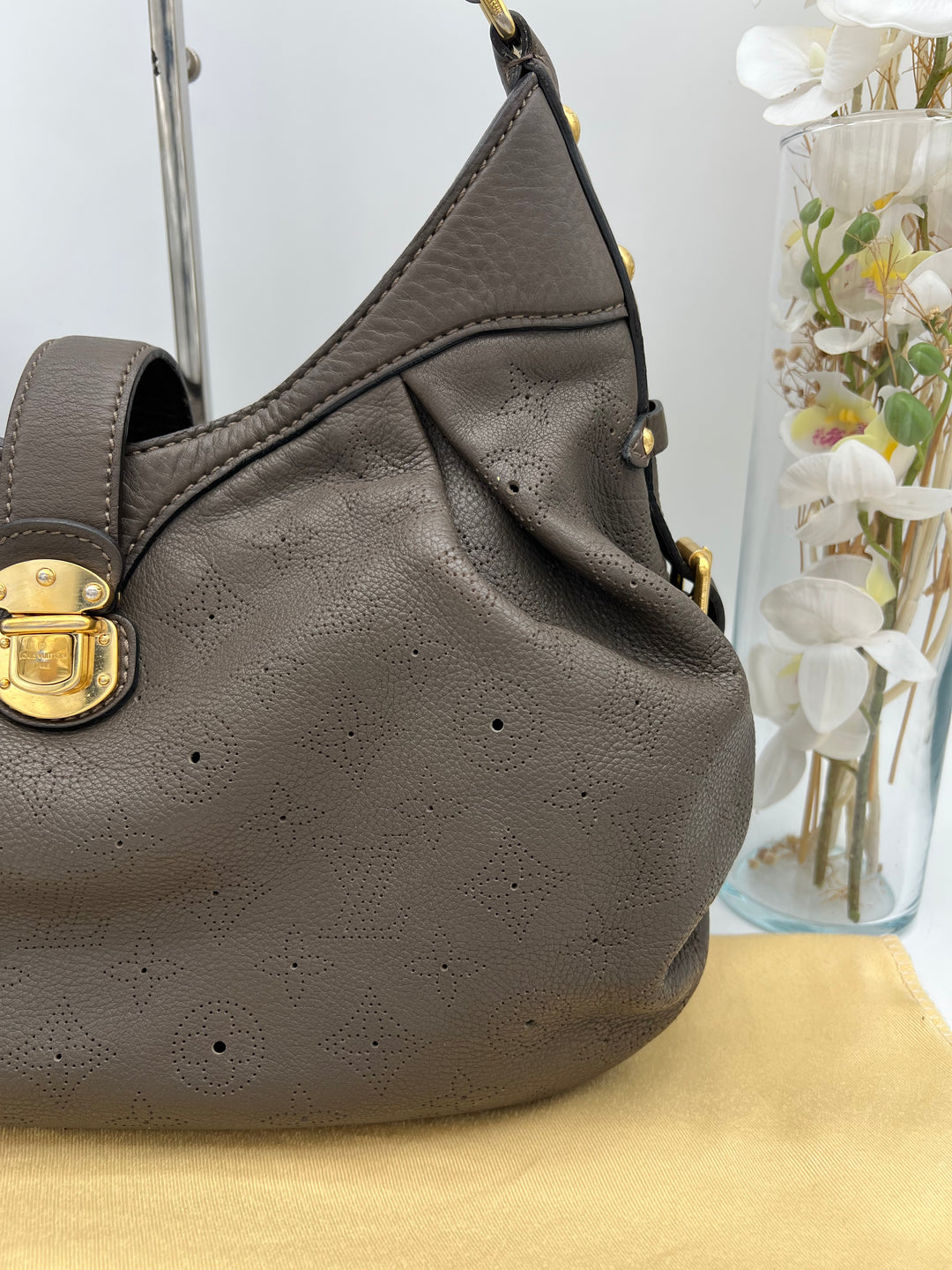 LOUIS VUITTON MAHINA XS HOBO