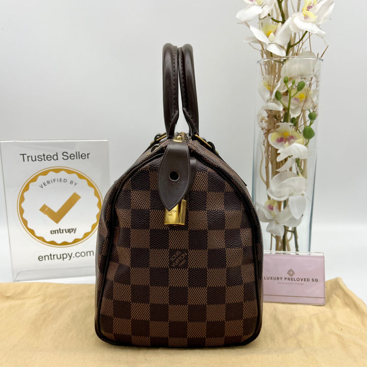 LOUIS VUITTON SPEEDY 25 DAMIER