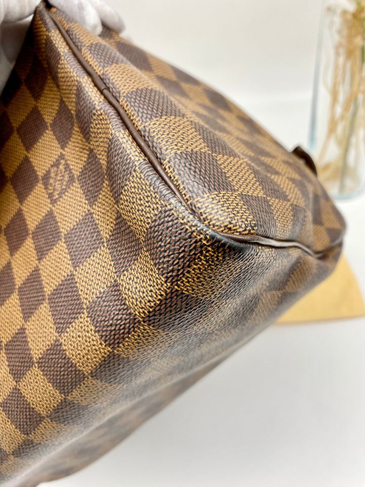 LOUIS VUITTON SPEEDY 25 DAMIER